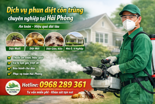 Dịch vụ phun diệt côn trùng chuyên nghiệp tại Hải Phòng – An toàn, hiệu quả dài lâu