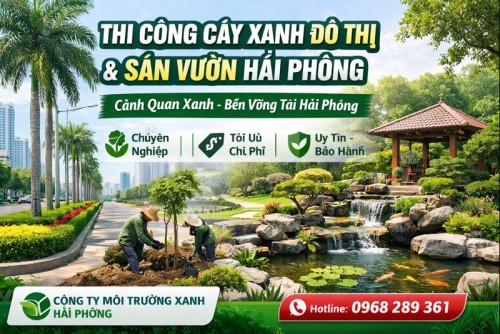 Thi công cây xanh đô thị và sân vườn – Giải pháp không gian xanh bền vững tại Hải Phòng